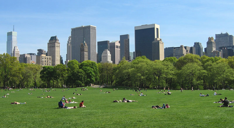 Détente des New-Yorkais dans le célèbre Central Park.