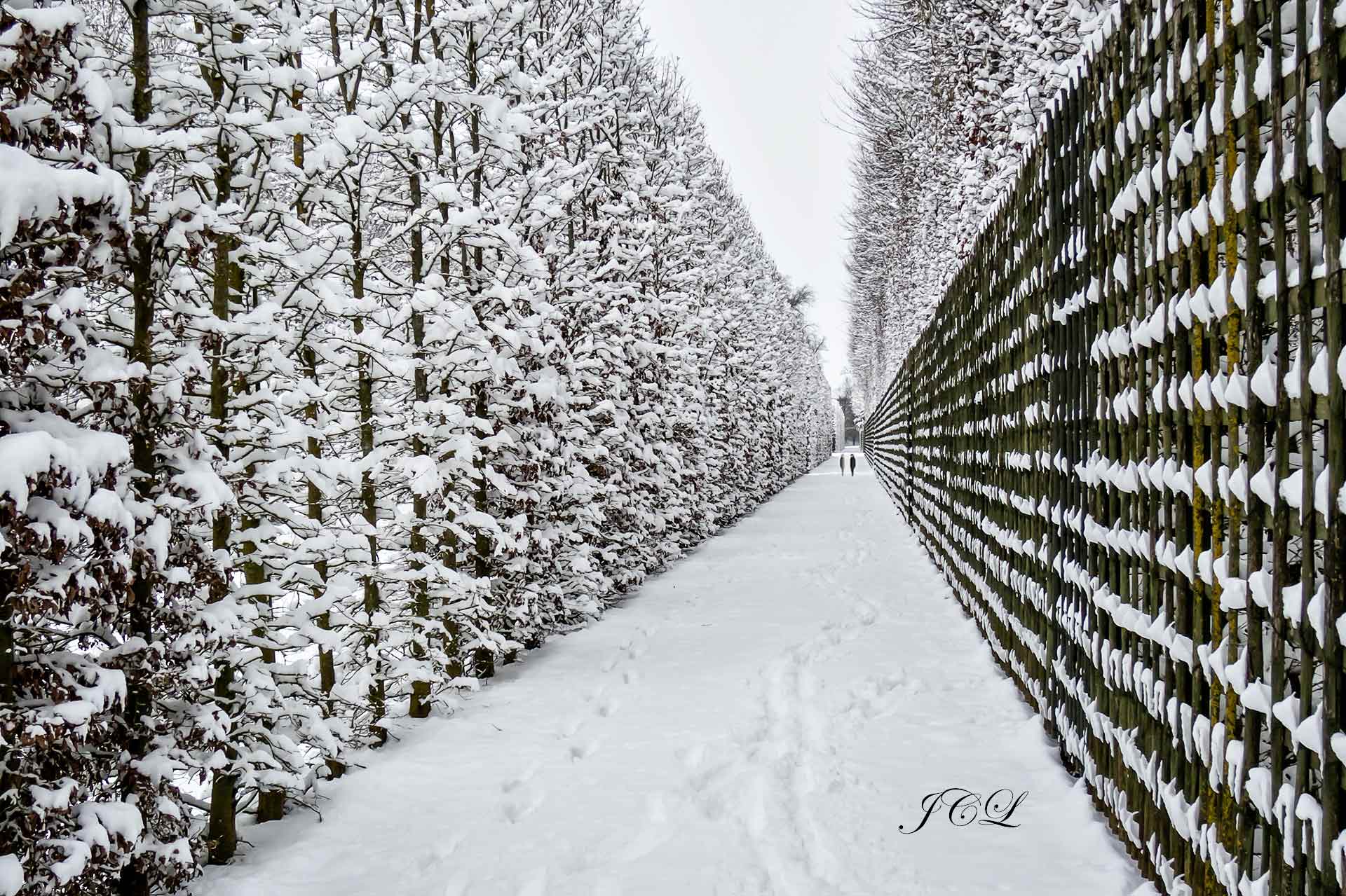 Belles photos du Parc du Chateau de Versailles sous la neige de février 2018.