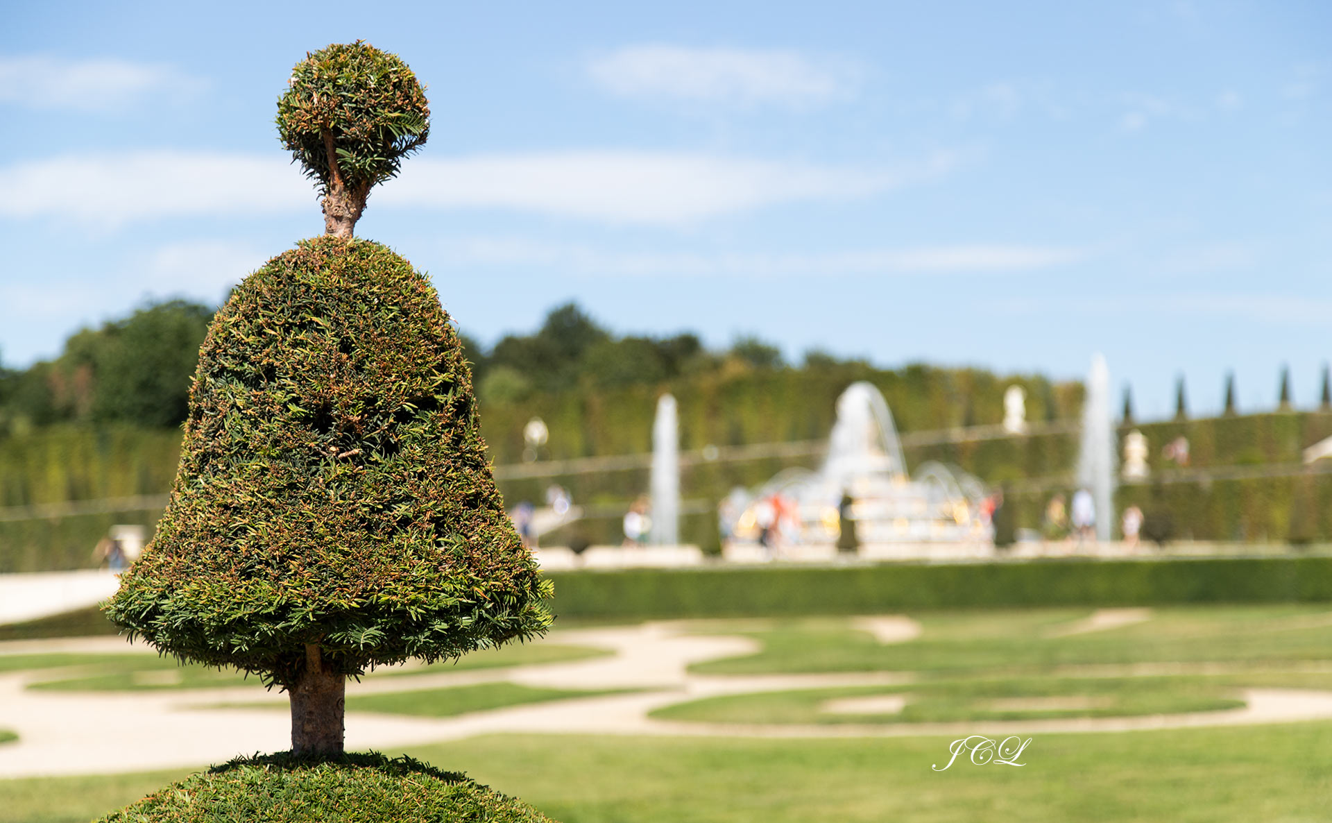 Le Bassin de Latone flou lors des Grandes Eaux Musicales dans les Jardins du Chateau de Versailles. Au premier plan un arbuste taillé suivant l'art topiaire.
